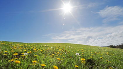 Vreme caniculară cu maxime de 35 grade Celsius. Ce temperaturi se vor înregistra în următoarele zile. Prognoza meteo