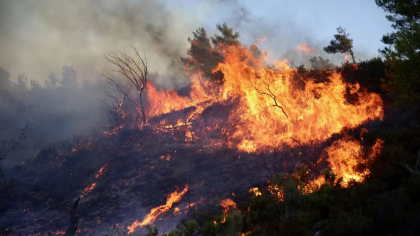 Zeci de pompieri, ajutaţi de 17 avioane de stingere, intervin la un un nou incendiu de vegetatie lângă Atena - VIDEO Zeci de pompieri, ajutaţi de 17 avioane de stingere, intervin la un un nou incendiu de vegetatie lângă Atena - VIDEO