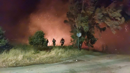 Noi incendii de vegetație în Grecia, în Kos, Chios și Creta Noi incendii de vegetație în Grecia, în Kos, Chios și Creta