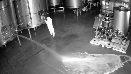 Motivul pentru care o femeie a deschis intenționat mai multe cuve ale unei crame din Spania, prăpădind 60.000 de litri de vin - VIDEO