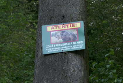 Filmul tragediei din România, unde o tânără a fost ucisă de urs. „Era mușcată de picior, pe spate” Filmul tragediei din România, unde o tânără a fost ucisă de urs. „Era mușcată de picior, pe spate”