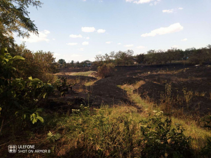 Incendiu puternic de vegetație la Cantemir. Cadavrul carbonizat al unui bărbat - găsit de pompieri într-o grădină. IGSU: „Focul s-a răspândit spre mai multe case de locuit din preajma” - FOTO