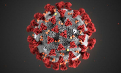 OMS: COVID-19 încă provoacă 1.700 de decese săptămânal la nivel global