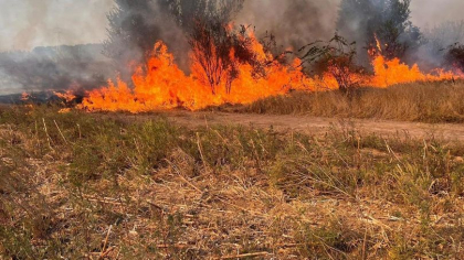 Ultima oră. Cod galben de pericol de incendii în toată țara - FOTO Ultima oră. Cod galben de pericol de incendii în toată țara - FOTO