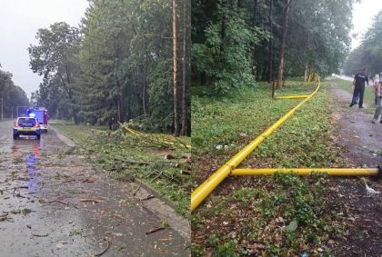 Copaci doborâți, țevi de gaz deteriorate și fire electrice rupte. O furtună puternică a făcut ravagii la Glodeni. Mai multe echipe de salvatori au intervenit - FOTO