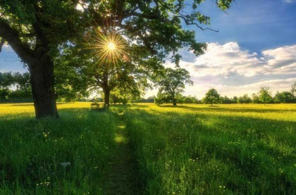 Scăpăm de arșită? Meteorologii anunță cod GALBEN de caniculă, iar în unele raioane ale țării deja e zonă verde