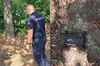 Broaște țestoase, omorâte cu cruzime, la Edineț: Ce pedeapsă riscă fătpașii - FOTO