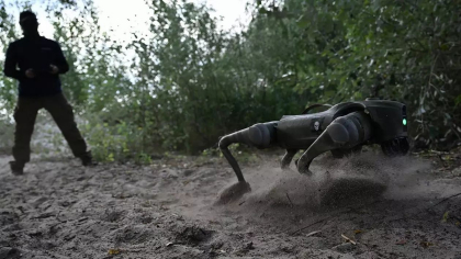 Cum participă la lupte câinii roboți pe care armata ucraineană i-a pregătit pentru a-i trimite pe front - VIDEO Cum participă la lupte câinii roboți pe care armata ucraineană i-a pregătit pentru a-i trimite pe front - VIDEO
