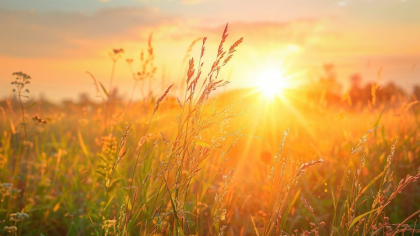 Maxime de 35 de grade Celsius. Cum va fi vremea astăzi, dar și în următoarele zile. Prognoza meteo