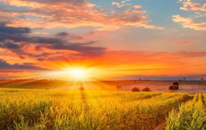 Maxime de 35 de grade Celsius. Cum va fi vremea astăzi, dar și în următoarele zile. Prognoza meteo Maxime de 35 de grade Celsius. Cum va fi vremea astăzi, dar și în următoarele zile. Prognoza meteo