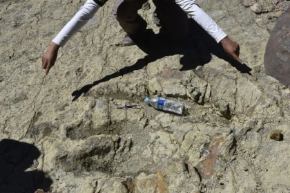 Descoperire unică în lumea științei. Urme de dinozauri încep în Brazilia și continuă în Camerun