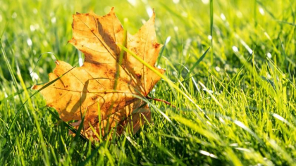 Vreme de vară în prima zi de toamnă: Câte grade se vor înregistra astăzi, dar și în următoarele zile. Prognoza meteo