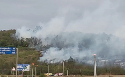 Detalii despre incendiul uriaș care a izbucnit în apropiere de vama Leușeni. 60 de hectare de vegetație - mistuite de flăcări. Precizările IGSU Detalii despre incendiul uriaș care a izbucnit în apropiere de vama Leușeni. 60 de hectare de vegetație - mistuite de flăcări. Precizările IGSU