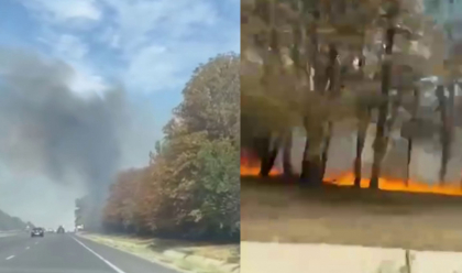 Incendiu de vegetație la intrarea în orașul Stăuceni. Două echipaje de pompieri au intervenit pentru a stinge flăcările
