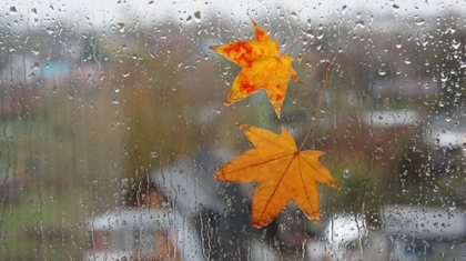 Va ploua în nordul țării. Câte grade se vor înregistra astăzi, dar și în următoarele zile. Prognoza meteo