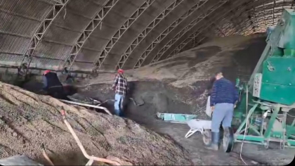 Consecințele potopului din sudul țării: Depozitul cu 500 de tone de floarea soarelui și 50 tone de grâu al unui fermier a fost inundat - VIDEO Consecințele potopului din sudul țării: Depozitul cu 500 de tone de floarea soarelui și 50 tone de grâu al unui fermier a fost inundat - VIDEO