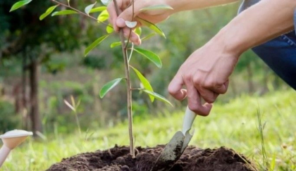 Moldova va beneficia de un împrumut de 200 de milioane de euro pentru extinderea și reabilitarea pădurilor - FOTO