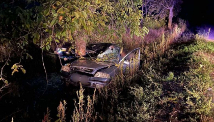 Tragic. Un cetățean străin a murit, după ce s-a lovit cu mașina într-un copac, la Cantemir. Precizările poliției - FOTO Tragic. Un cetățean străin a murit, după ce s-a lovit cu mașina într-un copac, la Cantemir. Precizările poliției - FOTO