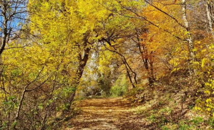 Toamna astronomică începe astăzi. Când vom trece la ora de iarnă