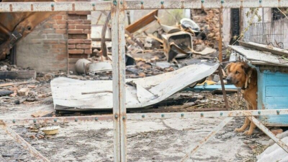 Forțele ruse au luat cu asalt oraşul ucrainean Zaporojie. Civilii au fost evacuați din mai multe clădiri. Numărul răniților