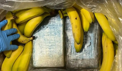 Aproape 100 de kilograme de cocaină găsite printre banane, în mai multe supermarketuri din Germania Aproape 100 de kilograme de cocaină găsite printre banane, în mai multe supermarketuri din Germania