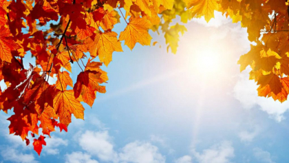 Cer senin și maxime de până la 28 de grade. Cum va fi vremea astăzi, dar și în următoarele zile. Prognoza meteo
Cer senin și maxime de până la 28 de grade. Cum va fi vremea astăzi, dar și în următoarele zile. Prognoza meteo