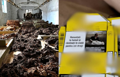 Percheziții de amploare la o fabrică ilegală de țigări, din Fălești: În depozite au fost depistate produse de peste 35 milioane lei - VIDEO Percheziții de amploare la o fabrică ilegală de țigări, din Fălești: În depozite au fost depistate produse de peste 35 milioane lei - VIDEO