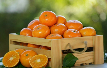 Rusia începe să accepte mandarine în loc de bani. Putin a găsit o soluție veche pentru a evita sancțiunile occidentale