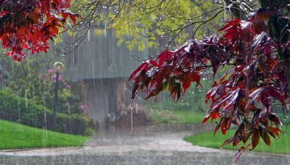 Ploi în toată țara. Câte grade se vor înregistra astăzi, dar și în următoarele zile. Prognoza meteo