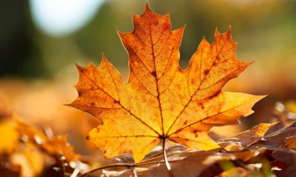 Vremea se menține rece. Câte grade se vor înregistra astăzi, dar și în următoarele zile. Prognoza meteo
Vremea se menține rece. Câte grade se vor înregistra astăzi, dar și în următoarele zile. Prognoza meteo