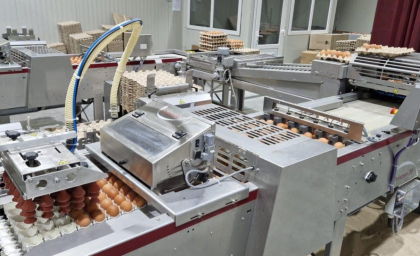 Realizare istorică. Primul producător din Republica Moldova a obținut dreptul de a exporta ouă de consum pe piața din UE - FOTO
