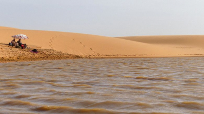 Deșertul Sahara a fost inundat pentru prima dată într-o jumătate de secol. În două zile a plouat cât în șase luni - FOTO
