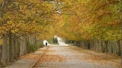 Vremea se menține rece. Câte grade se vor înregistra astăzi, dar și în următoarele zile. Prognoza meteo
