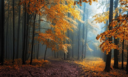 Maxime de 18 grade Celsius. Cum va fi vremea astăzi, dar și în următoarele zile. Prognoza meteo