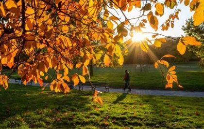 Vreme frumoasă în toată țara. Câte grade se vor înregistra astăzi, dar și în următoarele zile. Prognoza meteo