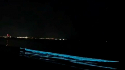 Fenomen neobișnuit la malul Mării Negre. Ce a apărut pe litoral, în Mamaia Fenomen neobișnuit la malul Mării Negre. Ce a apărut pe litoral, în Mamaia