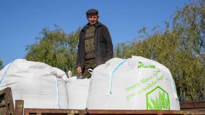 175 de agricultori afectați de secetă, din mai multe raioane ale țării, au primit un total de peste 400 de tone de semințe de grâu 175 de agricultori afectați de secetă, din mai multe raioane ale țării, au primit un total de peste 400 de tone de semințe de grâu