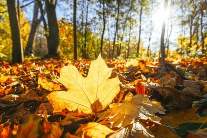 Maxime de 19 grade Celsius. Cum va fi vremea astăzi, dar și în următoarele zile. Prognoza meteo