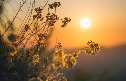 Vreme frumoasă în toată țara. Câte grade se vor înregistra în acest weekend. Prognoza meteo