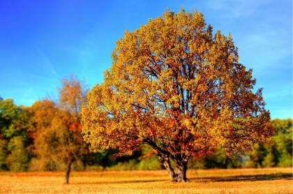 Vreme frumoasă în toată țara. Cum va fi vremea astăzi, dar și în următoarele zile. Prognoza meteo