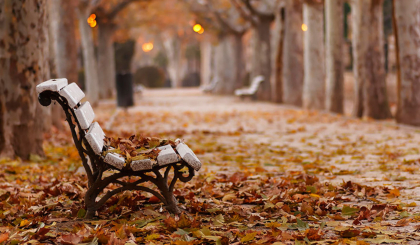 Vremea se va răci treptat. Cum va fi vremea astăzi, dar și în următoarele zile. Prognoza meteo
