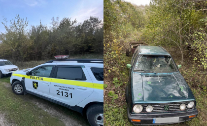 Prins la furat lemne în pădure: Un bărbat din raionul Telenești a rămas fără mașină, după ce a tăiat ilegal mai mulți copaci - FOTO
