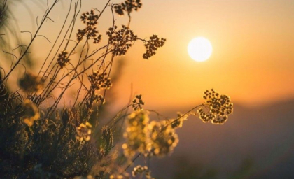 Maxime de 11 grade Celsius. Cum va fi vremea astăzi, dar și în următoarele zile. Prognoza meteo