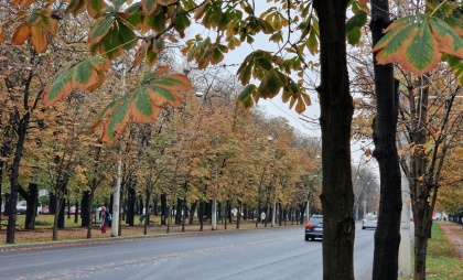 Vreme rece și posomorâtă. Câte grade se vor înregistra astăzi, dar și în următoarele zile. Prognoza meteo