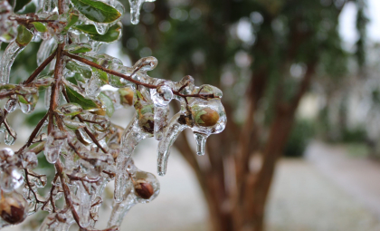  Vremea se răcește și vor cădea precipitații sub formă de lapoviţă şi ninsoare. Prognoza meteo