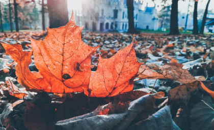 Maxime de 14 grade Celsius. Cum va fi vremea astăzi, dar și în următoarele zile. Prognoza meteo