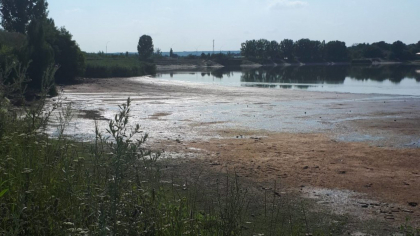 „Lacul Delia” și terenul aferent de 111 hectare va fi transmis, pentru renovare, în proprietatea primăriei municipiului Ungheni. Decizia Guvernului
