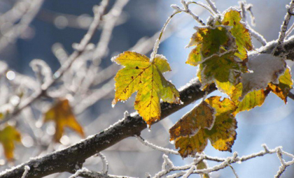 Cer noros şi temperaturi minime de până la -3 grade Celsius. Cum va fi vremea astăzi, dar și în următoarele zile. Prognoza meteo
