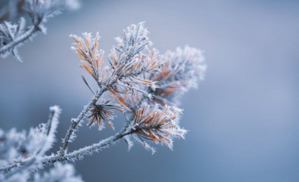 Cer noros şi temperaturi minime de până la -4 grade Celsius. Cum va fi vremea astăzi, dar și în următoarele zile. Prognoza meteo