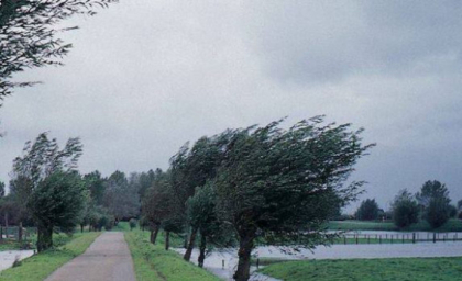 Cod GALBEN de vânt puternic în toată țara. Anunțul făcut de meteorologi - FOTO